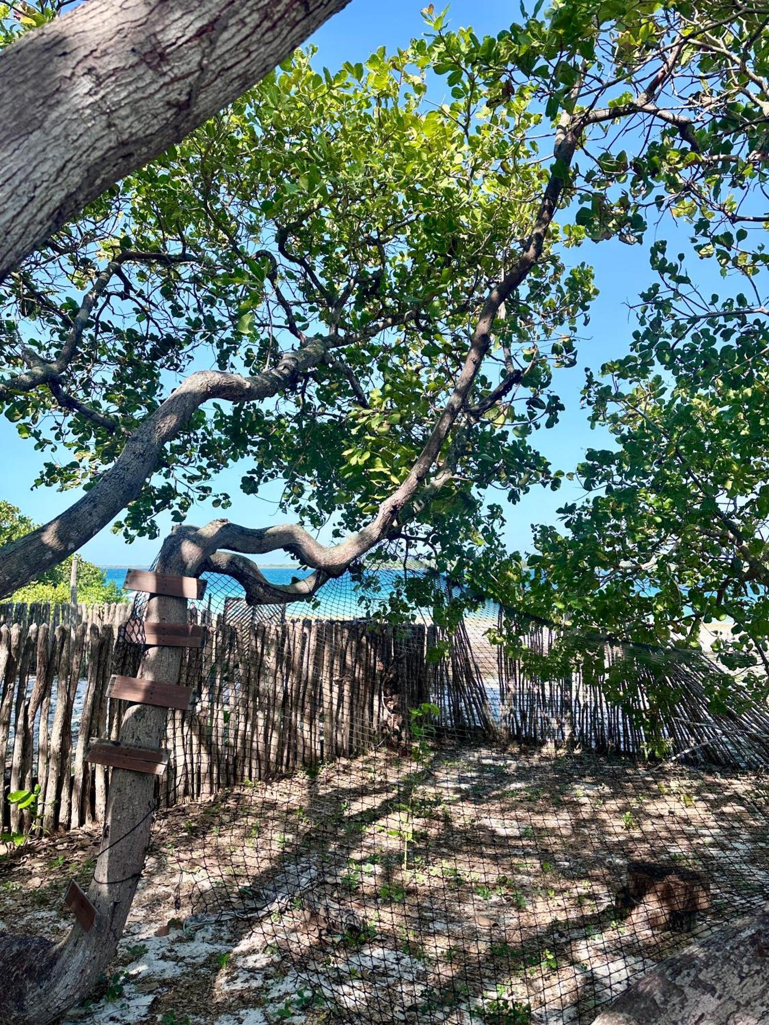 Villa Manay Lagoa Do Paraiso, Casa 2 Quartos Na Beira Da Lagoa à Jericoacoara Extérieur photo